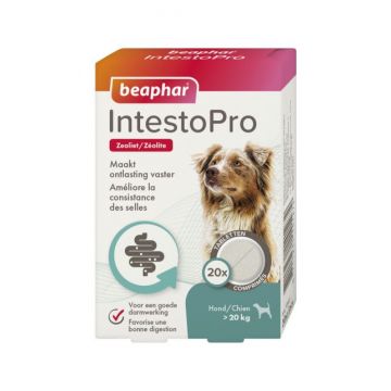 Beaphar Intestopro Chien > 20kg - Aide Digestive - Jusqu'à 20 Kg 20 Comprimés