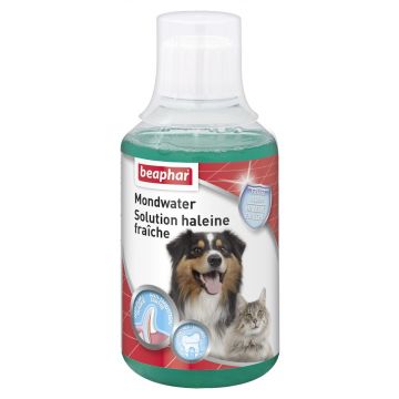 Beaphar Bain de Bouche chien/chat 250ml