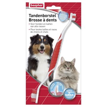 Brosse à dents Beaphar 1 pièce