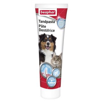 Beaphar Dentifrice Chiens et Chats 100g