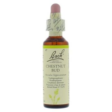 Bach Chestnut Bud / Kastanjeknop 20 ml 07