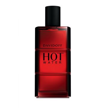 Davidoff Hot Water edt 110ml