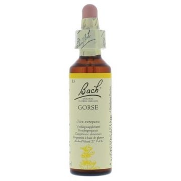 Bach Gorse / Gaseldoorn 20 ml 13