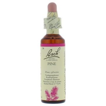 Bach Pine / Pijnboom 20 ml 24