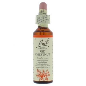 Bach Red Chestnut / Rode kastanje 20 ml 25