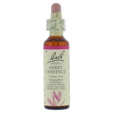 Bach Sweet Chestnut / Tamme Kastanje 20 ml 30