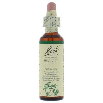 Bach Walnut / Walnoot 20 ml 33