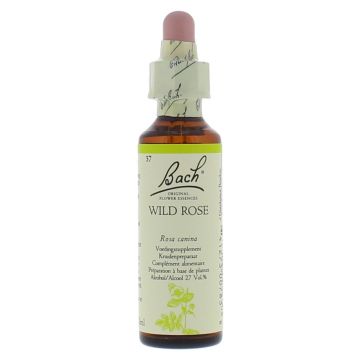 Bach Wild Rose / Hondsroos 20 ml 37