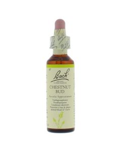 Bach Chestnut Bud / Kastanjeknop 20 ml 07