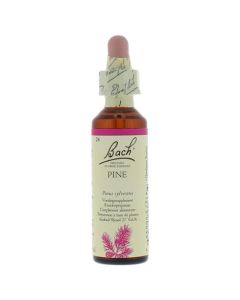 Bach Pine / Pijnboom 20 ml 24