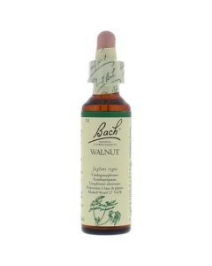 Bach Walnut / Walnoot 20 ml 33